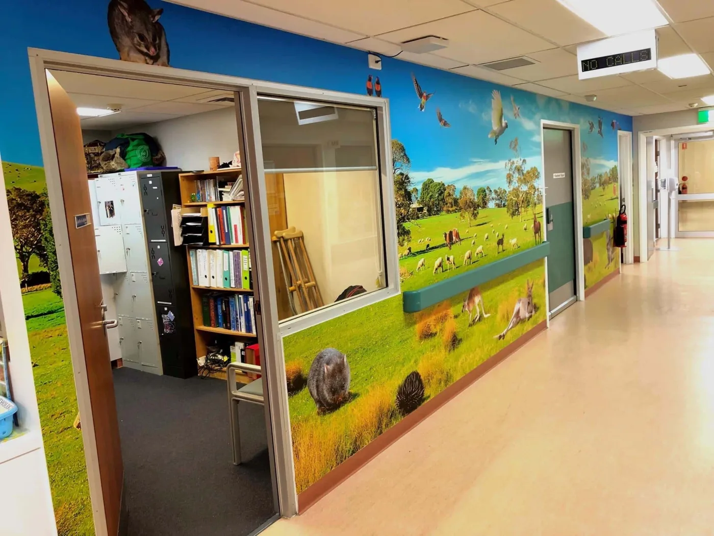 Printed wall graphics in a school classroom
