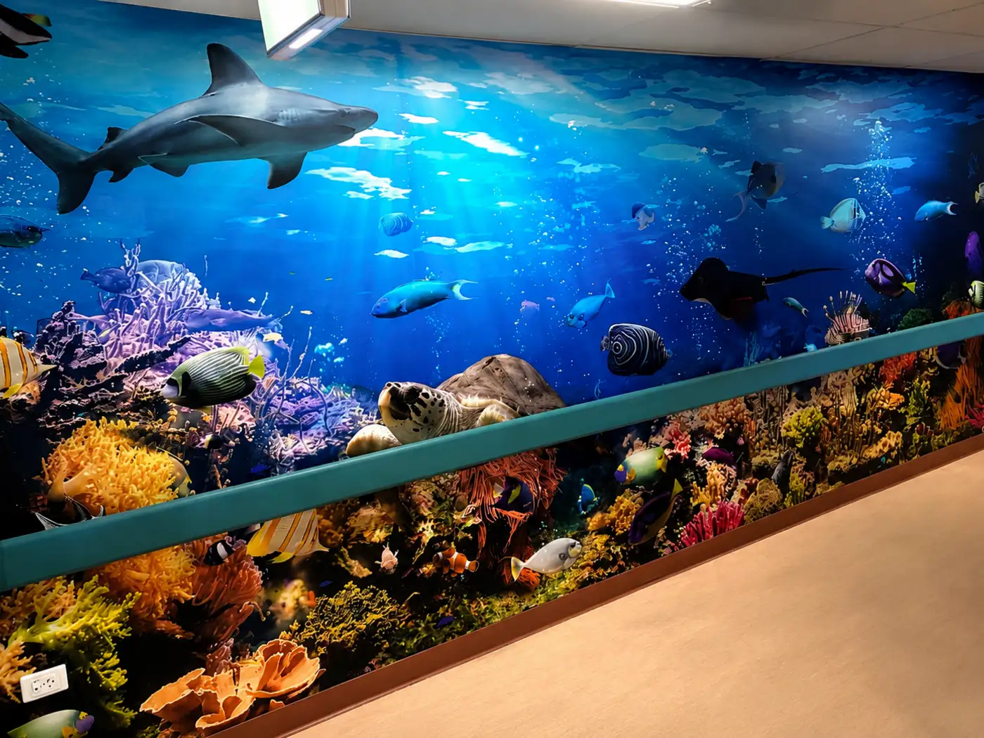 Underwater reef wall mural printed and installed by Big Colour